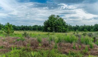 F-8 Long Branch Farms Road, Baker, FL 32531
