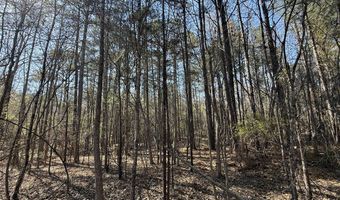 0 Markham Road Tract 4, Bradley, SC 29819