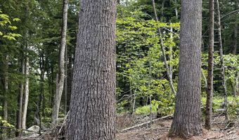 Underwood Road lot 7 & 10, Acworth, NH 03601