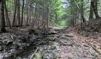 Stewart Road, Addison, NY 14801