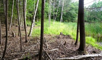S Forest Lake, Alger, MI 48610