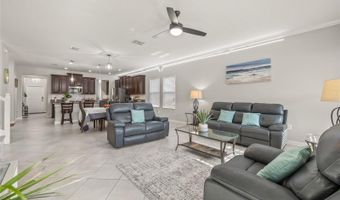 3212 CALVANO Dr, Land O Lakes, FL 34639