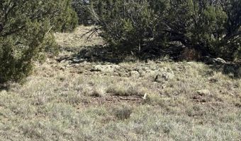 10 NE Kirkwood N8715, Concho, AZ 85924