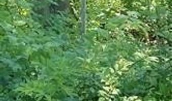 Narragansett Road, Cumberland, RI 02864