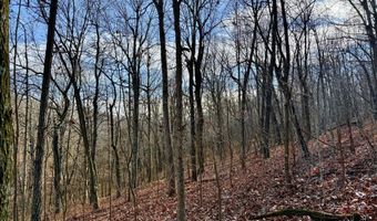 Farm Rd 1187 Lc, Ash Grove, MO 65604