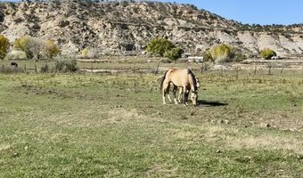 ROAD 4599, Blanco, NM 87412