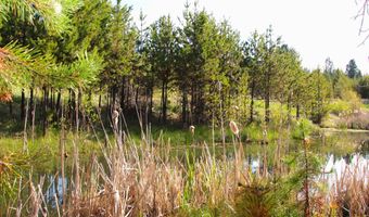 7 Placer Pl Lot 13, Cascade, ID 83611