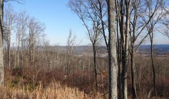 Bayside Blvd lot # 39, Bean Station, TN 37708
