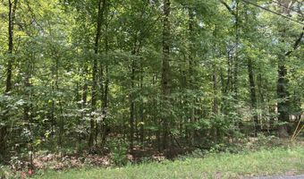 Lot 1069 Iron Gate Drive, Baneberry, TN 37890
