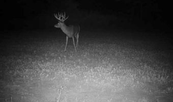 8752 HWY A, Almond, WI 54909