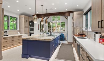 289 Exhibition Ln, Aspen, CO 81611