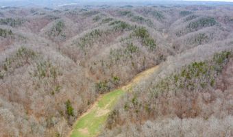 Willis Creek Rd, Albany, KY 42602