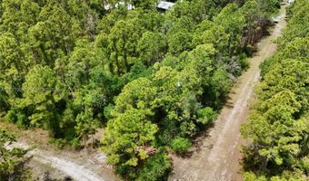 SW Nassau Ave, Arcadia, FL 34266