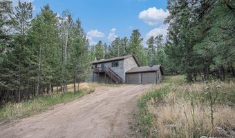 1050 Yellow Pine Dr, Bailey, CO 80421