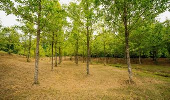 1130 Highway 15, Ackerman, MS 39735