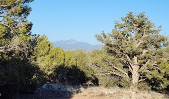 408 N2 Off Caprica Rd, Ash Fork, AZ 86320