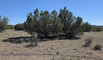 8 A Tanner Rd, Ash Fork, AZ 86320