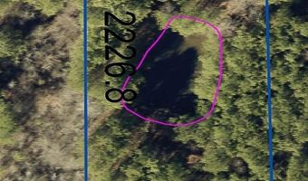 7745 SHOAL CREEK Rd Lot 1, Ashville, AL 35953