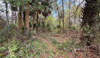 COUNTY ROAD 445A, Astor, FL 32102