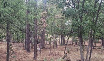 74 Lot Silvertip Trl 5, Alto, NM 88312