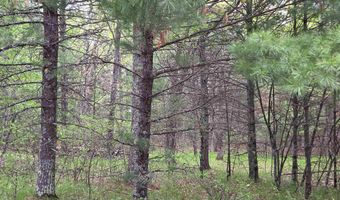 S Badger Lane lot 38, Arkdale, WI 54613