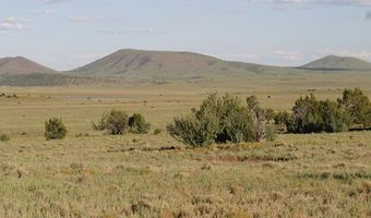 Lot 55 Concho Lakeland, Concho, AZ 85924