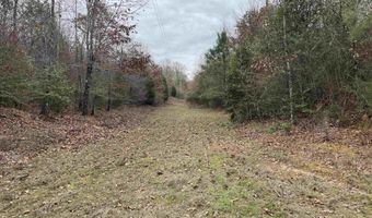 34655 Co Rd 49, Beaverton, AL 35544