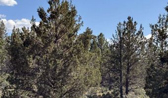 HWY 140 300, Beatty, OR 97621