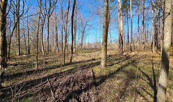 13 Acres Pridesville Rd, Amelia, VA 23002