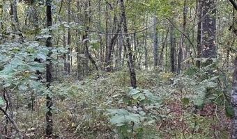 1089 Damascus Dr, Ball Ground, GA 30107