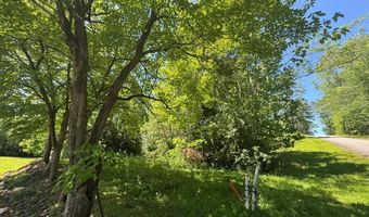 Lot 3a/B Tranquil Pointe Lane, Hiawassee, GA 30546
