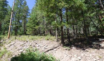 9 County Road 2073, Alpine, AZ 85920