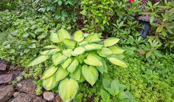 383 Wulamat Rd, Bristol, NH 03222