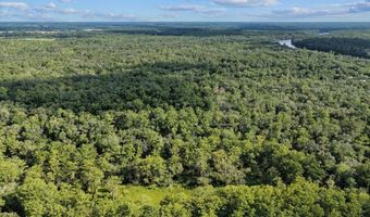 0000 73rd Way, Bell, FL 32619