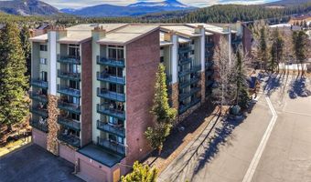 455 VILLAGE Rd 102, Breckenridge, CO 80424