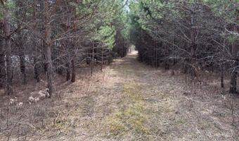 5280 Cathro Rd, Alpena, MI 49707