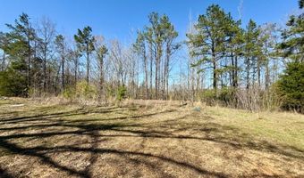 CR 5156, Booneville, MS 38829