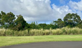 54-3703 LEHUULA Cir, Kapaau, HI 96755