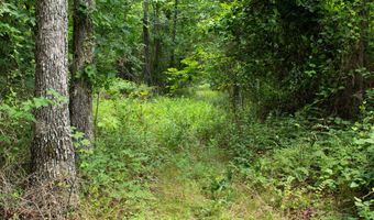 3899 County Road 304, Alton, MO 65606