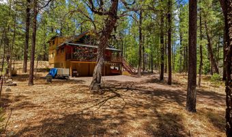70 County Road 2266, Alpine, AZ 85920