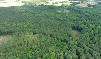 9035 New Sandy Hill Church Rd, Bailey, NC 27807
