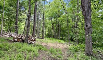 Great Hollow Road, Cornwall, CT 06753