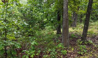 County Road Jj-416, Ava, MO 65608