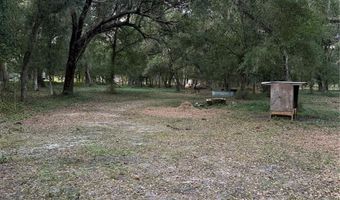 SE BROWN Road, Arcadia, FL 34266