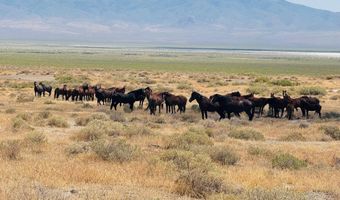 T32 Sec 25, Imlay, NV 89418