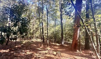 0 Highway 3, Blackville, SC 29817