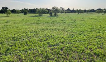 Tbd County Road 335, Anson, TX 79501