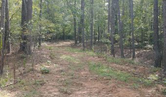334 SERENITY Ln Lot 1, Alpine, AL 35014