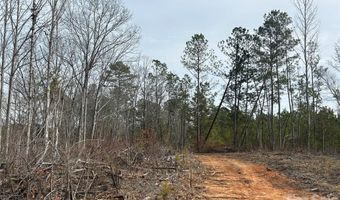 33 Ac Lot A Countryside Dr, Blackstock, SC 29014