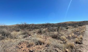 Tract114 Hwy 90, Alpine, TX 79830